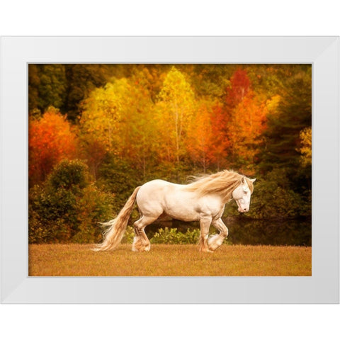 Golden Lit Horse VI White Modern Wood Framed Art Print by PHBurchett