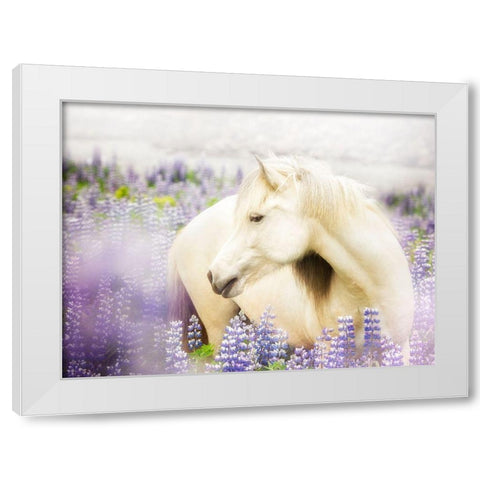 Horse in Lavender III White Modern Wood Framed Art Print by PHBurchett