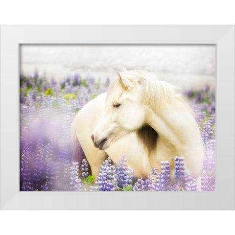 Horse in Lavender III White Modern Wood Framed Art Print by PHBurchett