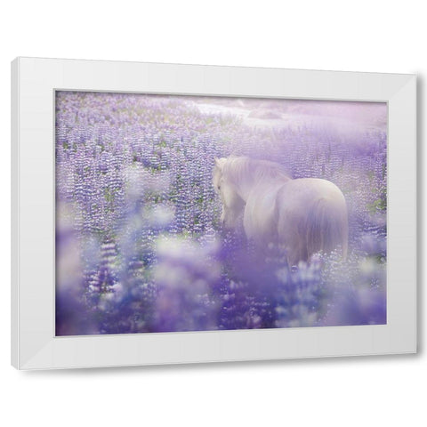 Horse in Lavender IV White Modern Wood Framed Art Print by PHBurchett