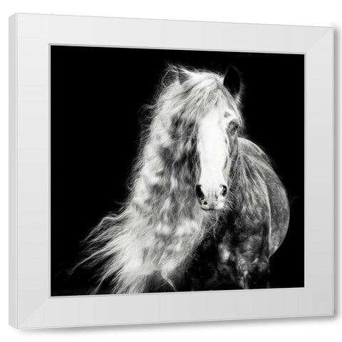 Black and White Horse Portrait I White Modern Wood Framed Art Print by PHBurchett