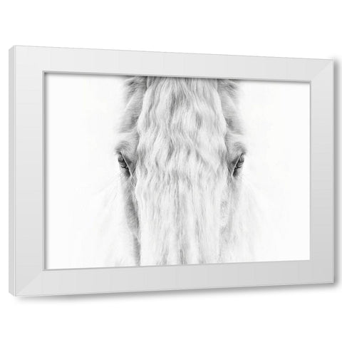 Black and White Horse Portrait IV White Modern Wood Framed Art Print by PHBurchett