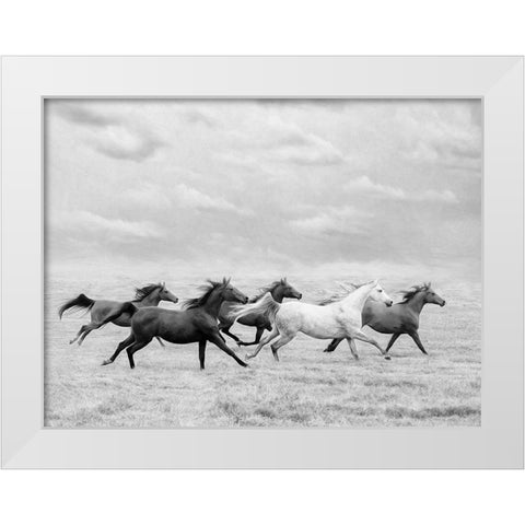 Horse Run I White Modern Wood Framed Art Print by PHBurchett