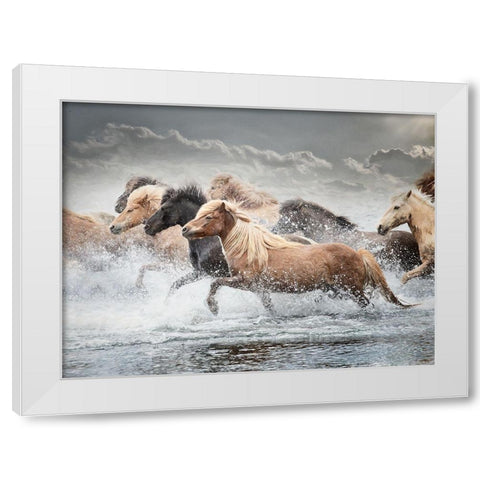 Horse Run IV White Modern Wood Framed Art Print by PHBurchett