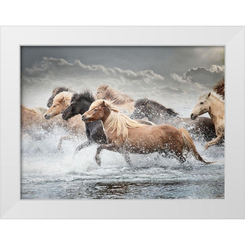 Horse Run IV White Modern Wood Framed Art Print by PHBurchett