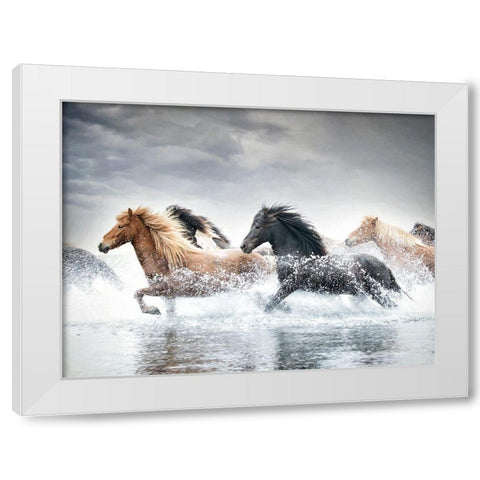 Horse Run V White Modern Wood Framed Art Print by PHBurchett
