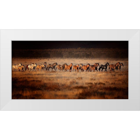 Horse Run VII White Modern Wood Framed Art Print by PHBurchett