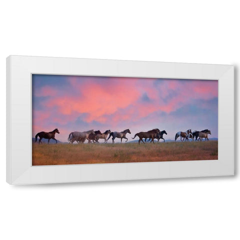 Horse Run VIII White Modern Wood Framed Art Print by PHBurchett