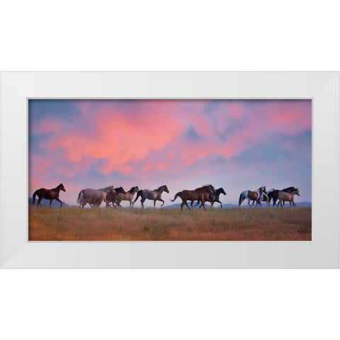 Horse Run VIII White Modern Wood Framed Art Print by PHBurchett