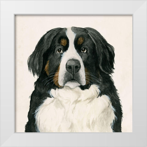 Best Bud I White Modern Wood Framed Art Print by Popp, Grace
