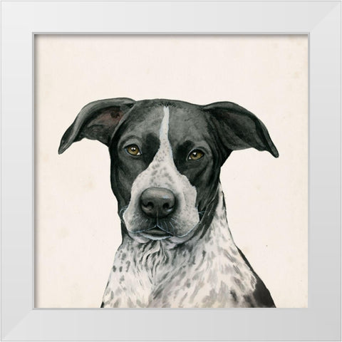 Best Bud IV White Modern Wood Framed Art Print by Popp, Grace