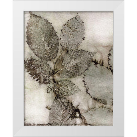 Birch Leaves II White Modern Wood Framed Art Print by Phillips, Kathryn