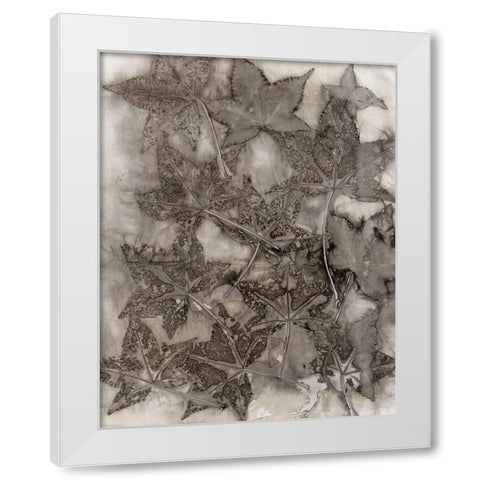 Sweet Gum Leaves White Modern Wood Framed Art Print by Phillips, Kathryn