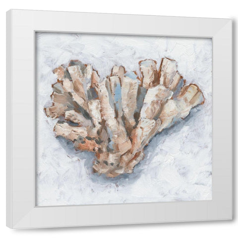 Coral Display IV White Modern Wood Framed Art Print by Harper, Ethan