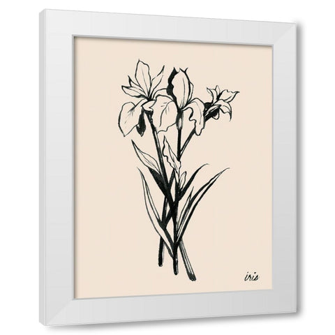 Iris Sketch II White Modern Wood Framed Art Print by Popp, Grace