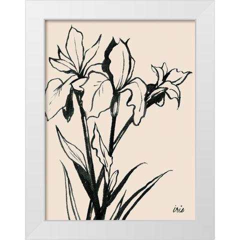 Iris Sketch III White Modern Wood Framed Art Print by Popp, Grace