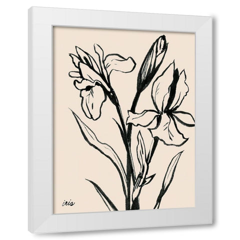 Iris Sketch IV White Modern Wood Framed Art Print by Popp, Grace