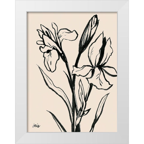 Iris Sketch IV White Modern Wood Framed Art Print by Popp, Grace