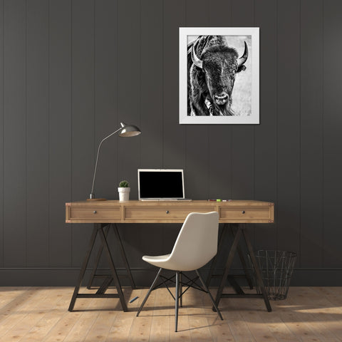 Buffalo Portrait White Modern Wood Framed Art Print by PHBurchett