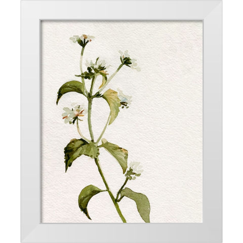 White Antique Wildflower I White Modern Wood Framed Art Print by Caroline, Emma