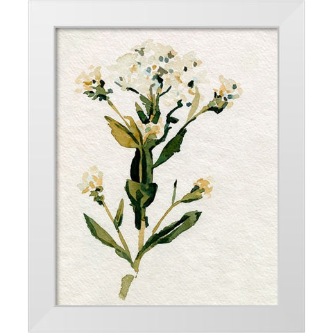 White Antique Wildflower II White Modern Wood Framed Art Print by Caroline, Emma