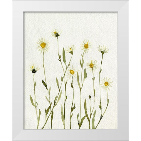 White Antique Daisies II White Modern Wood Framed Art Print by Caroline, Emma