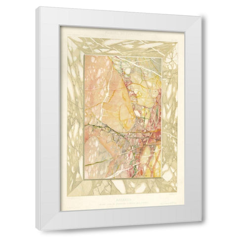 Marble Varieties VIII White Modern Wood Framed Art Print by Baxter Mill Archive
