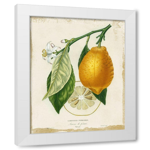 French Lemon II White Modern Wood Framed Art Print by Studio W