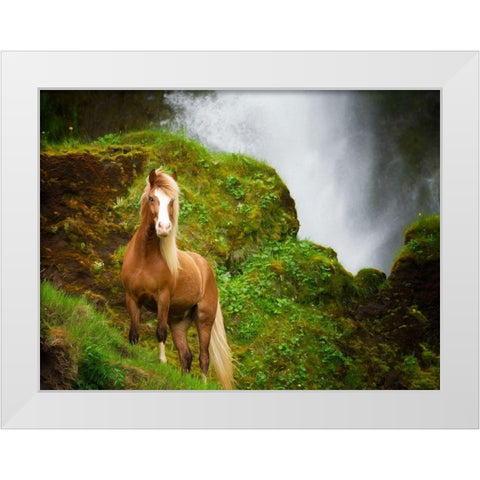 Collection of Horses I White Modern Wood Framed Art Print by PHBurchett