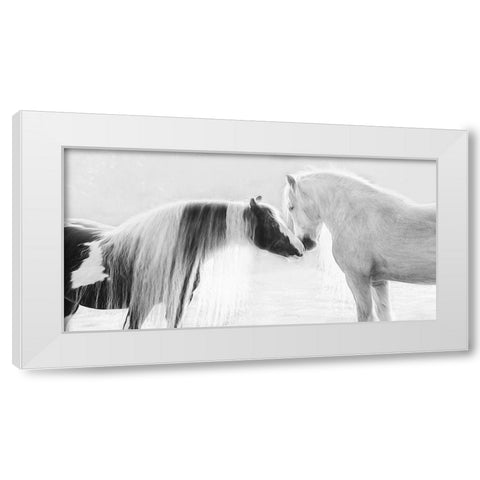 Collection of Horses III White Modern Wood Framed Art Print by PHBurchett