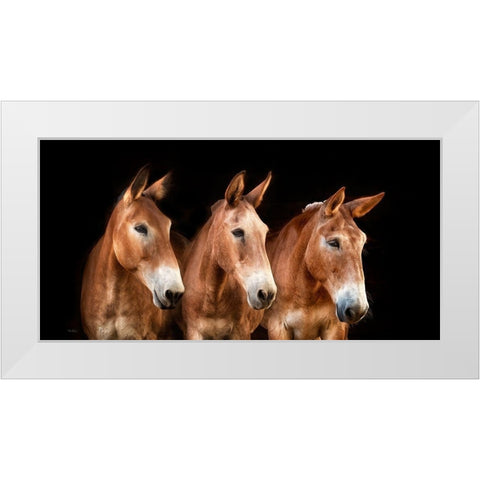 Collection of Horses IV White Modern Wood Framed Art Print by PHBurchett