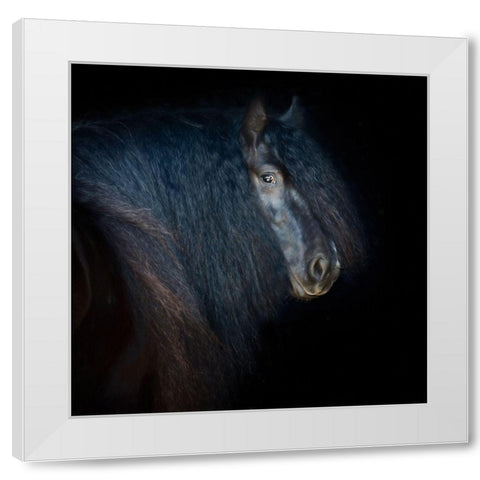 Collection of Horses VI White Modern Wood Framed Art Print by PHBurchett