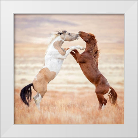 Collection of Horses VIII White Modern Wood Framed Art Print by PHBurchett