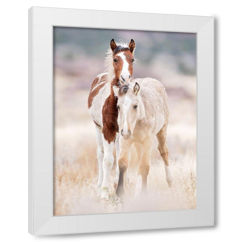Collection of Horses X White Modern Wood Framed Art Print by PHBurchett