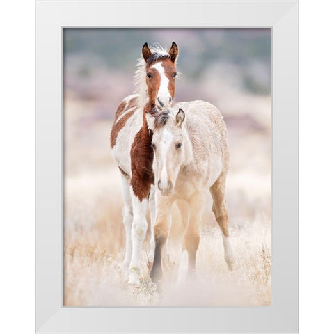 Collection of Horses X White Modern Wood Framed Art Print by PHBurchett