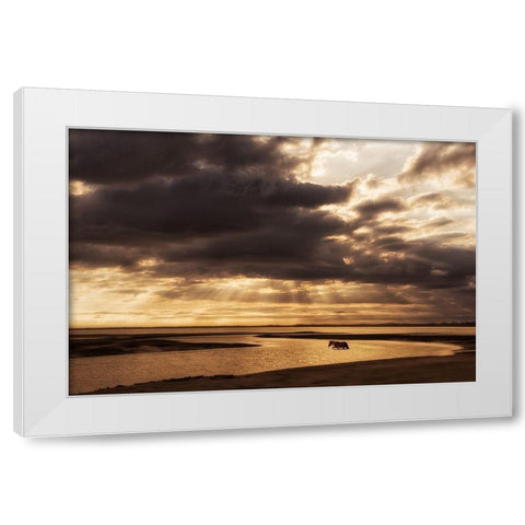 Water and Land IV White Modern Wood Framed Art Print by PHBurchett