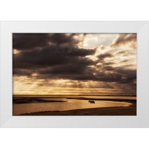 Water and Land IV White Modern Wood Framed Art Print by PHBurchett