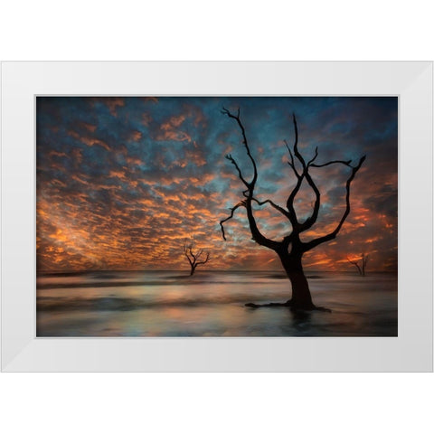 Water and Land V White Modern Wood Framed Art Print by PHBurchett