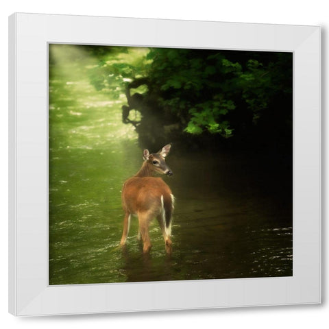 Water and Land VII White Modern Wood Framed Art Print by PHBurchett