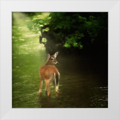 Water and Land VII White Modern Wood Framed Art Print by PHBurchett