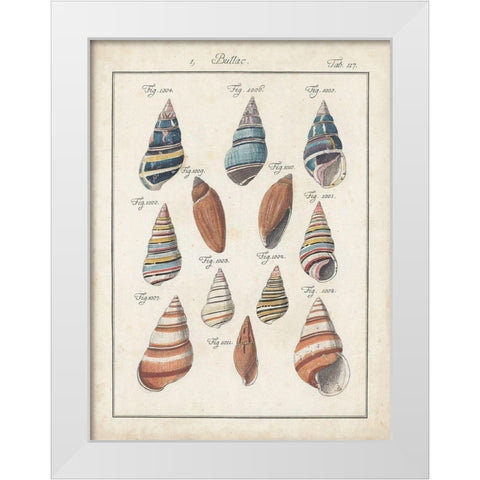 Antique Shell Pair I White Modern Wood Framed Art Print by Deseve, Jacques