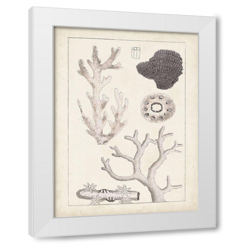 Antique White Coral II White Modern Wood Framed Art Print by Vision Studio