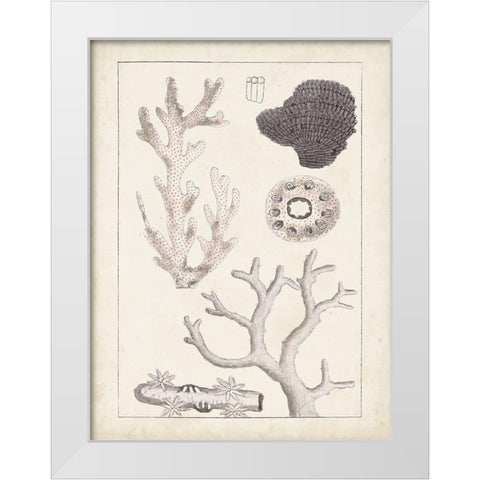 Antique White Coral II White Modern Wood Framed Art Print by Vision Studio