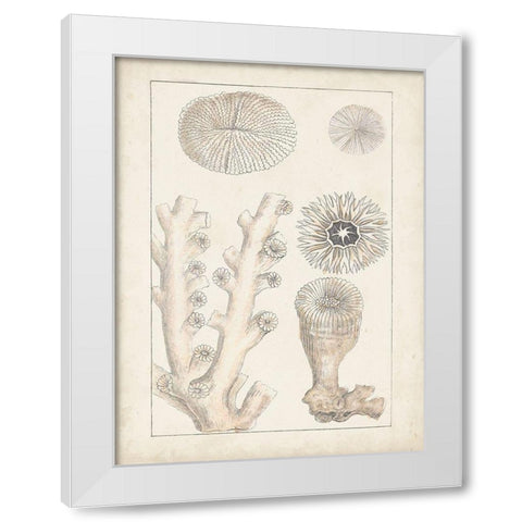 Antique White Coral III White Modern Wood Framed Art Print by Vision Studio