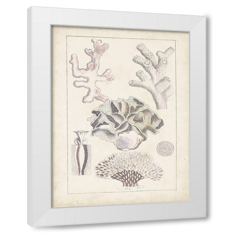 Antique White Coral IV White Modern Wood Framed Art Print by Vision Studio