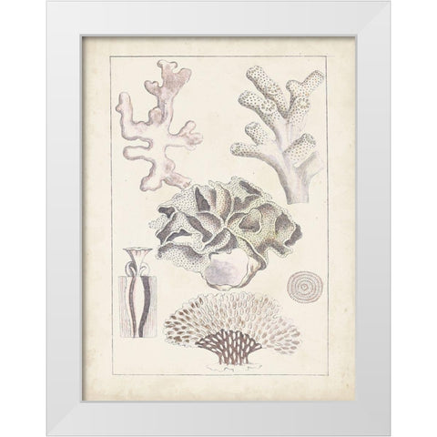 Antique White Coral IV White Modern Wood Framed Art Print by Vision Studio