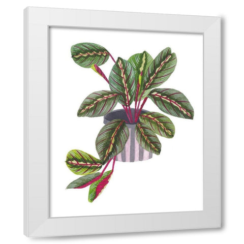 Prayer Plant II White Modern Wood Framed Art Print by Wang, Melissa