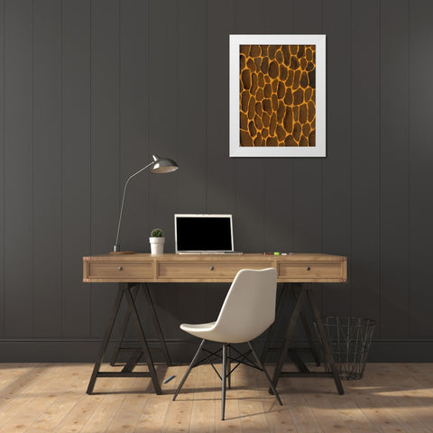 Of the Wild Patterns I White Modern Wood Framed Art Print by Moore, Regina