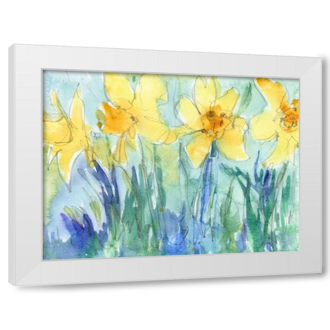 Daffodil Blooms II White Modern Wood Framed Art Print by Dixon, Samuel