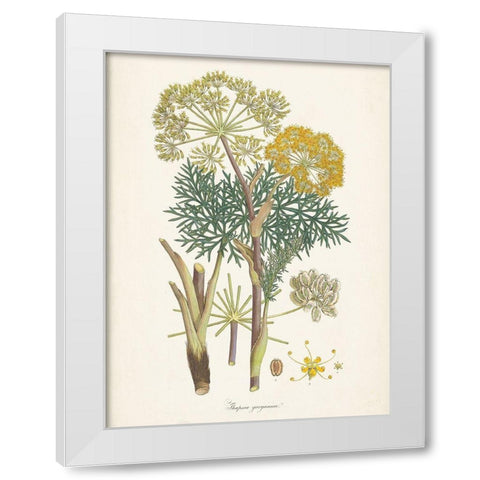 Saffron Botanicals I White Modern Wood Framed Art Print by Unknown